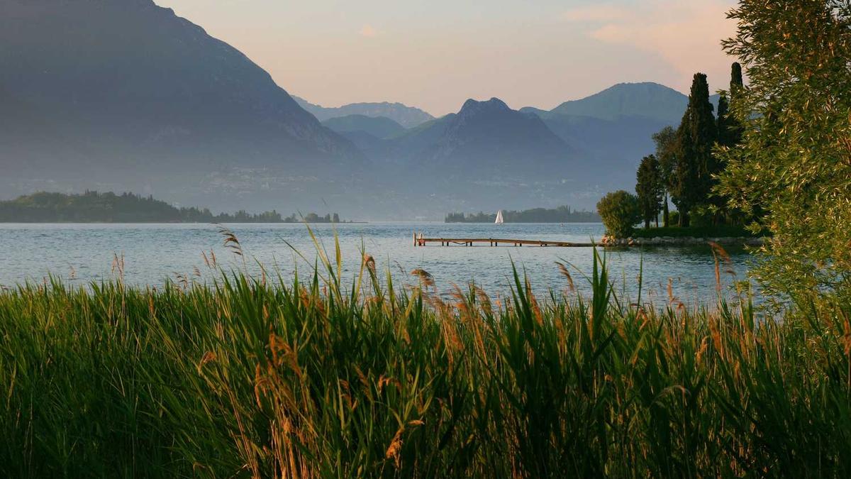 ๊ธ๊ฐ 3000๋ฌ๋ฌ